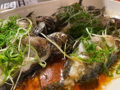 -强记海鲜·大排档(蛇口新街店)