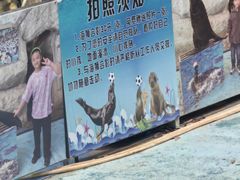 -泉州海丝野生动物世界