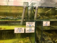 -ZF Seafood Restaurant 卓峰海鲜餐