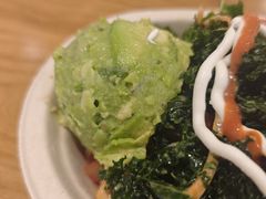 -油梨树 AVOCADO TREE(亮马桥店)