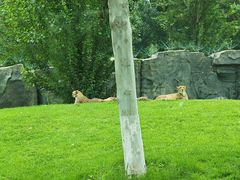 -北京野生动物园