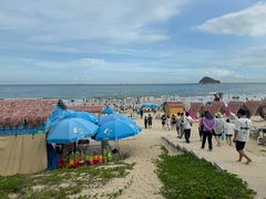 -西涌国际滨海旅游区