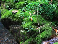 -西岭雪山大飞水景区