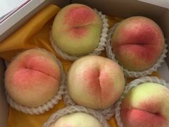 -南汇水蜜桃采摘(大团店)