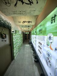 -阅年轻·AI家庭健康体质调理