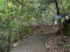 -九曜山