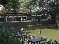 -喜洲吧·江畔老船厂·庭院餐厅(喜临院店)
