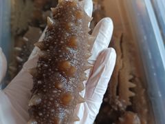 -宫品海参专卖店(静安大宁店)