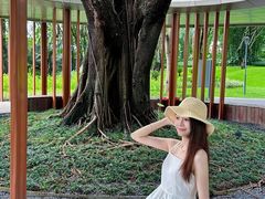-云溪植物园