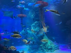 -沈阳海洋探索中心