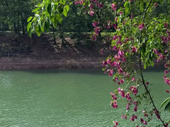-红花湖景区