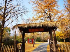 -国家植物园南园