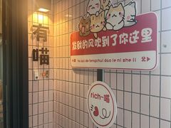 -有喵·猫咖·狗咖·30几只猫10只小狗(岗厦店)