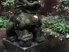 -都江堰普照寺