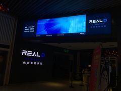 -奥斯卡升龙国际影城(RealD Cinema)