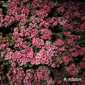 来看看今年流行什么香味吧