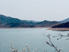 -望湖烤鱼