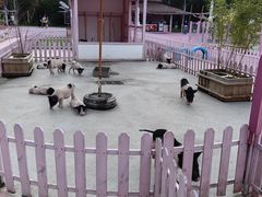 -渔岛海洋度假区