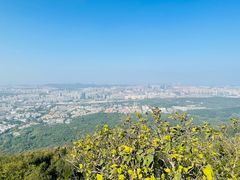 -紫金山山顶公园