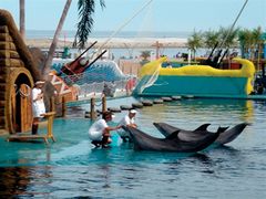 -秦皇岛乐岛海洋王国