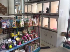 -1013 PET SHOP 宠物商店(近铁城市广场店)