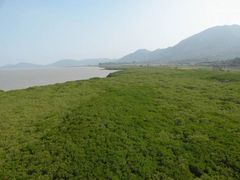 -北海金海湾红树林生态旅游区