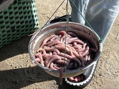 -北海金海湾红树林生态旅游区