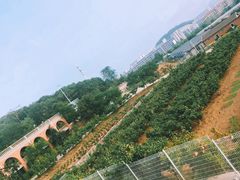 -大连北马山庄