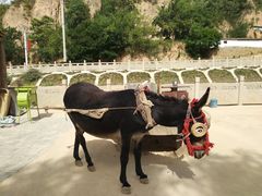 -梁家河村红色旅游区