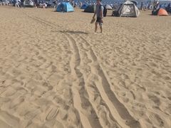 -碧海金沙