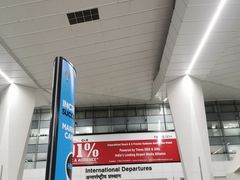 -英迪拉·甘地国际机场