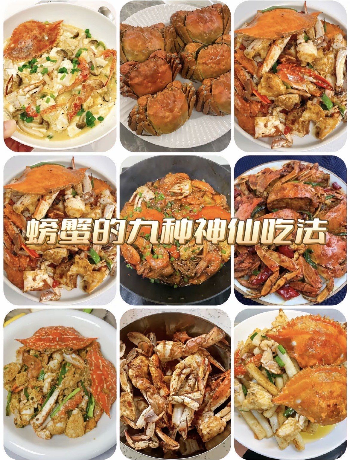 清蒸大闸蟹
2.空气炸锅烤螃蟹
3