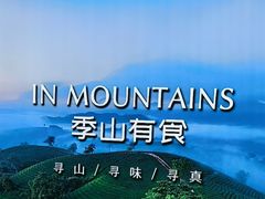 -季季山•云南野生菌火锅(上海首店)