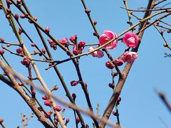 -南京市江宁方山