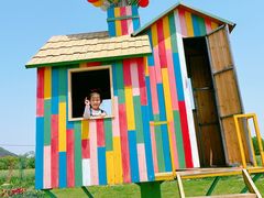 -苏州太湖西山岛开心农场