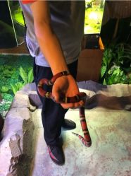 -酷嗒动物文化乐园(cutezoo西溪乐天城店)