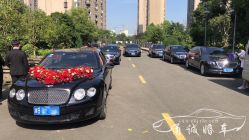 -宁波甬诚婚车(新典路店)