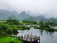 -大九湖