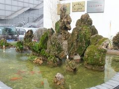 -上海市普陀区中医医院