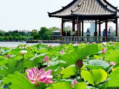 -济南大明湖景区