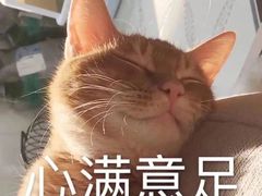 -鑫梦桌游谋杀之谜剧本杀俱乐部(联合商厦店)