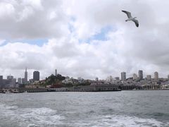 -阿尔卡特拉斯岛