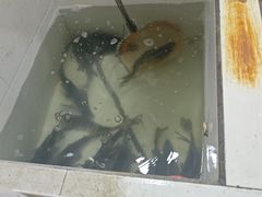 -贡椒鱼老店·雅安十大名店