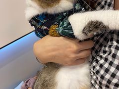 -啵啵喵·猫咖(攀华国际店)