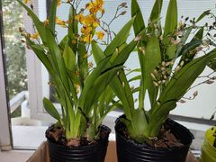 -家乐福(古北店)