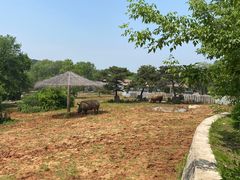 -沈阳森林动物园