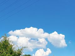 -西湖风景区-江洋畈生态公园