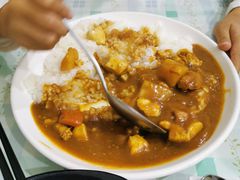 鸡肉咖喱饭-顶屋咖喱(武大店)