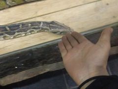 -石家庄市动物园