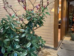 -一轩饺子馆(丽都店)